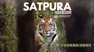 Satpura National Park | Churna Zone | Wildlife Safari