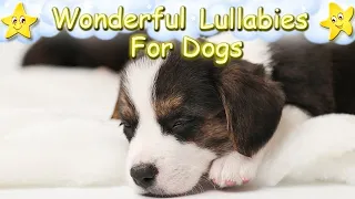 Relax Your Dog Within 5 Minutes ♫ Super Effective Music For Puppies ♥ Lullaby For Pets Dogs Animals