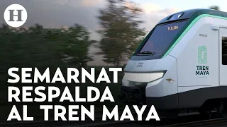 Tren Maya es ecológico y sustentable, así justificó la Semarnat durante comparecencia en el Senado