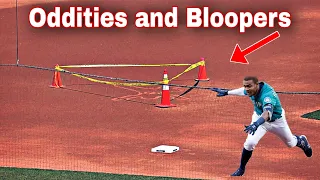 MLB  Oddities  and Bloopers insane - News Compilation