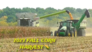 2023 FALL CORN HARVEST 🌽  CLAAS 8700 COMBINE SHELLING CORN 16 ROW CORN HEAD