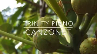 Canzonet, Christian Gottleb Neefe, Trinity Piano Grade 2, 2021-2023