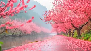 Spring relaxing music heals the heart and blood vessels🌸Calm music restores the nervous system #3