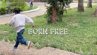 BORN FREE