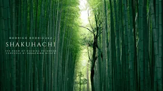 Shakuhachi 尺八 Music from Japan | Rodrigo Rodriguez