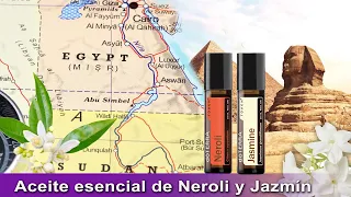 Aceite esencial de Jazmín y Neroli | Kit de Flores Preciosas doTERRA