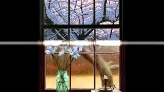Ночные Снайперы - Я сижу у окна - на стихи И. Бродского