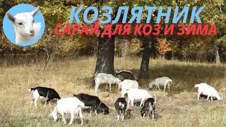 Козлятник Сарай для коз и зима