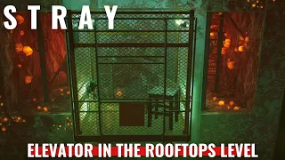 Stray - How to escape to the elevator in the Rooftops level?