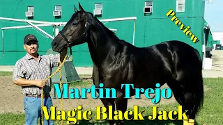 MARTIN TREJO & MAGIC BLACK JACK