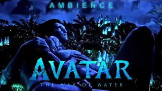 Avatar: The Way of Water | Sleep | Ambient Soundscape