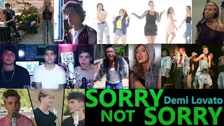 Demi Lovato - Sorry Not Sorry (Top 10 Cover)