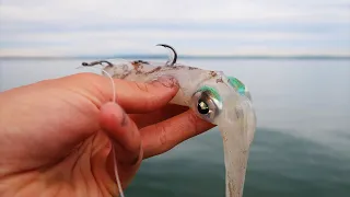 The Best Bait To Use While Fishing!?!