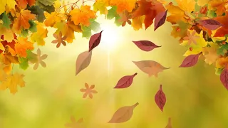 Футаж Осень бережно снимает разноцветный сарафан HD