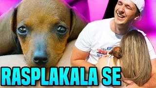 IZNENADIO SAM DEVOJKU SA PSOM KOJEG JE ODUVEK ŽELELA *EMOTIVNO*