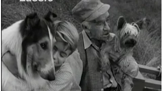 Lassie - Episode #328 - "A Time for Giving" - Season 10, Ep 5 - 10/27/1963