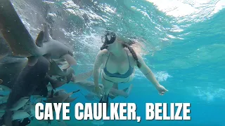 SOLO FEMALE TRAVEL IN BELIZE | 10 Days in Caye Caulker, Belize