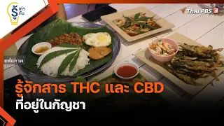 ทำความรู้จักสาร "THC" และ "CBD" ในกัญชา : รู้เท่ารู้ทัน