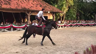 acrobatic horse rider