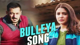 Bulleya Song - Lyrics|Sultan |Papon |Vishal-Shekhar |Irshad Kamil|salman khan