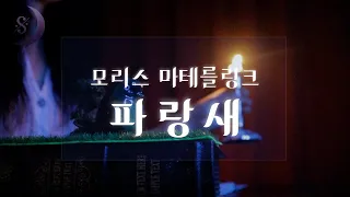 오늘밤 잃어버린 행복을 찾아드립니다 / 전 세대에게 감동을 주는 따뜻한 이야기/파랑새 / ASMR