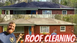 Tips And Tricks To Roof Cleaning