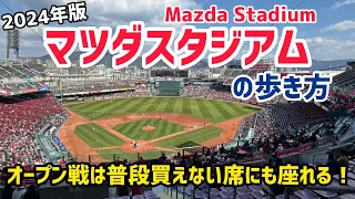 【2024年版】マツダスタジアムの歩き方⚾広島カープのオープン戦で普段買えない席にも座れて満喫！