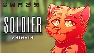 Soldier | Warrior Cats Animash