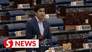 PM should not also be finance minister, says Syed Saddiq