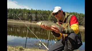 2021 Pavasaris. Šapalai ant Batono - nekimba! ar kimba?