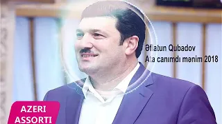 Bu ata canimdi menim