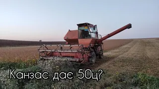 Молочу Канзас 34+ц❗ А в деяких сипить в ютубі 50+ц🤔Що я роблю не так?