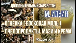 Огневка (восковая моль). Пчелопродукты. Мази и крема. Получение, переработка. Максим Ильин, пчеловод