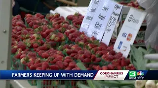 During COVID-19 outbreak, farmers markets report boost in sales