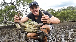 BIG Mudcrab Caught In The Mudflats! Catch & Cook MUDCRAB