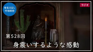 第528回「身震いするような感動」2022/6/18【毎日の管長日記と呼吸瞑想】｜ 臨済宗円覚寺派管長 横田南嶺老師