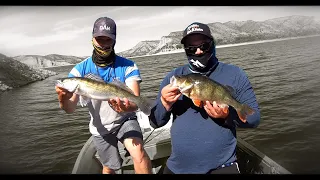 Ebro: Stausee Mequinenza - Fishing trip part 1 #iCatchFish #Ebro #Mequinenza