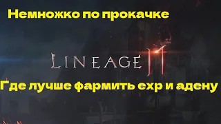 Lineage 2 mobile -коротко про прокачку, что и где фармить, как лучше фармить, есть ли штраф на лвл?