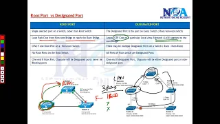 009 Root Port  VS  Designated Ports