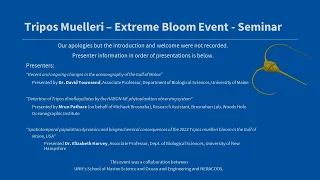 Tripos muelleri - Extreme Bloom Event