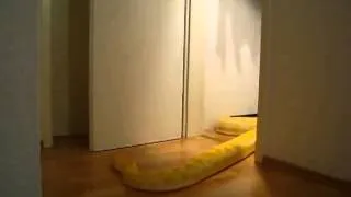 Неожиданно из ванной жёлтая змея!