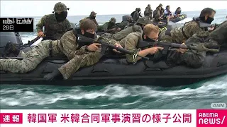 【速報】韓国軍　米韓合同軍事演習の映像公開(2023年8月29日)