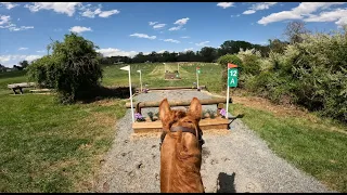 Preliminary Fairhill International Cross Country Run || Cooley Meridian || RAW VIDEO