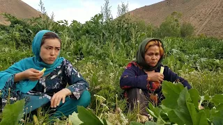 Village Life Afghanistan | Cooking Traditional Afghan Village Food | @TastyFoodies