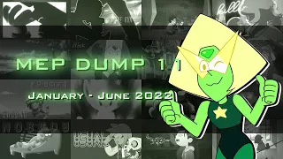 MEP Dump #11 | January - June 2022