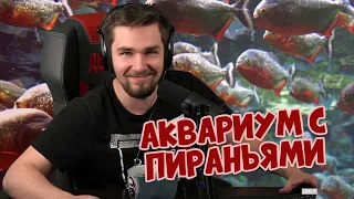 РЕАКЦИЯ ДИКТОРА | КАК ОТРЕАГИРОВАЛИ ПИРАНЬИ, КОГДА Я ЗАЛЕЗ К НИМ В АКВАРИУМ?