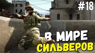 В МИРЕ СИЛЬВЕРОВ #18 | CS:GO