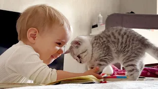 Cutest Moment! Baby Tries to Hug Tiny Kitten!