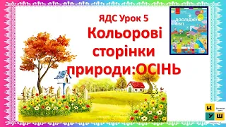 ЯДС 2 клас урок 5 Кольорові сторінки природи:ОСІНЬ автор Бібік