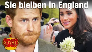 Harry und Meghan bleiben in England - wann kommen Archie und Lilibet? • PROMIPOOL